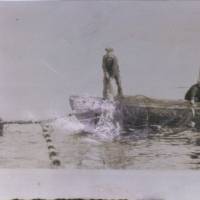Les pêcheurs enlèvent les poissons des trappes